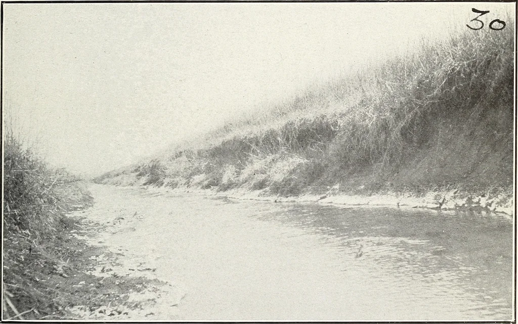 An illustration from Land drainage by means of pumps, 1915, leaf 42