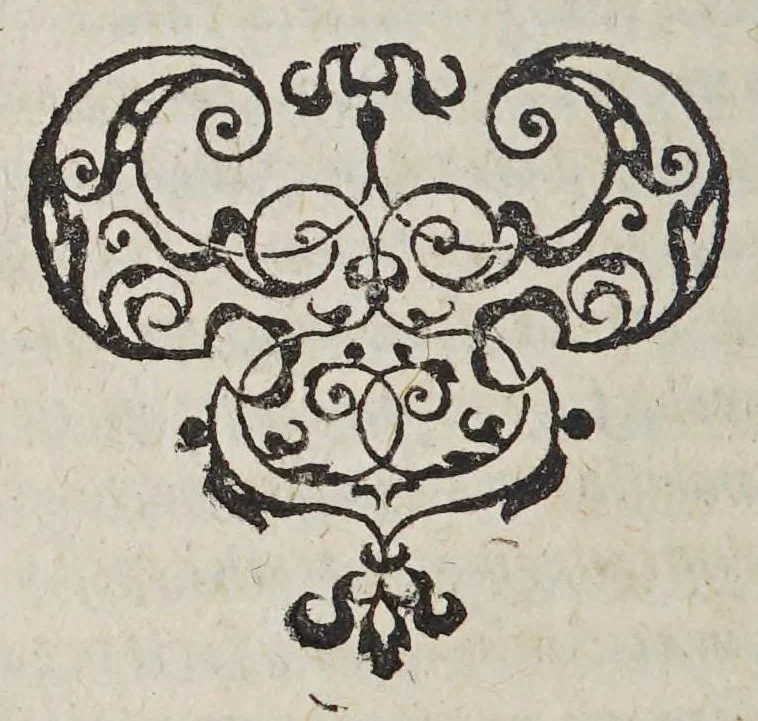 An illustration from L. Andreae Resensdii Eborensis, Poemata, epistolae historicae, orationes. : Quibus praeter exquisitum verborum delectum et ornatum et historiae admodum memorabiles continentur, 1613, leaf 210