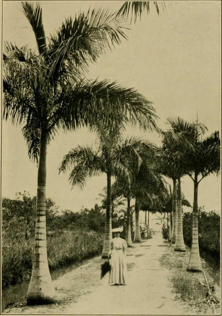 An illustration from The landscape beautiful; a study of the utility of the natural landscape, its relation to human life and happiness, 1910, leaf 106