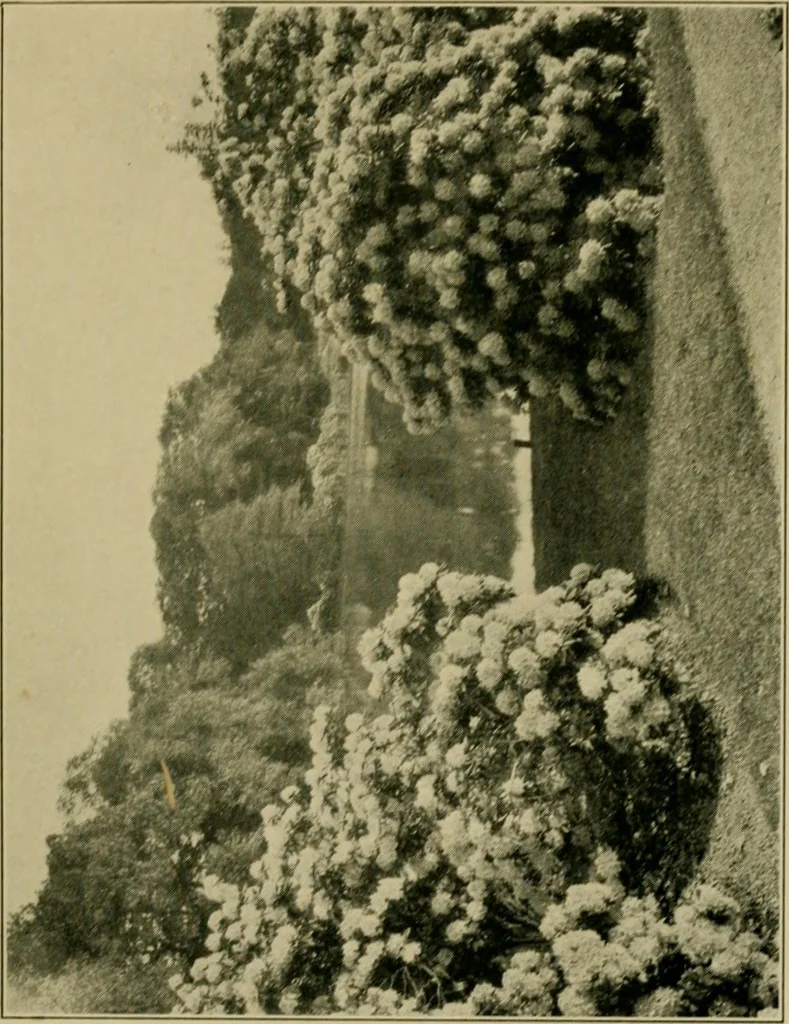 An illustration from The landscape beautiful; a study of the utility of the natural landscape, its relation to human life and happiness, 1910, leaf 142