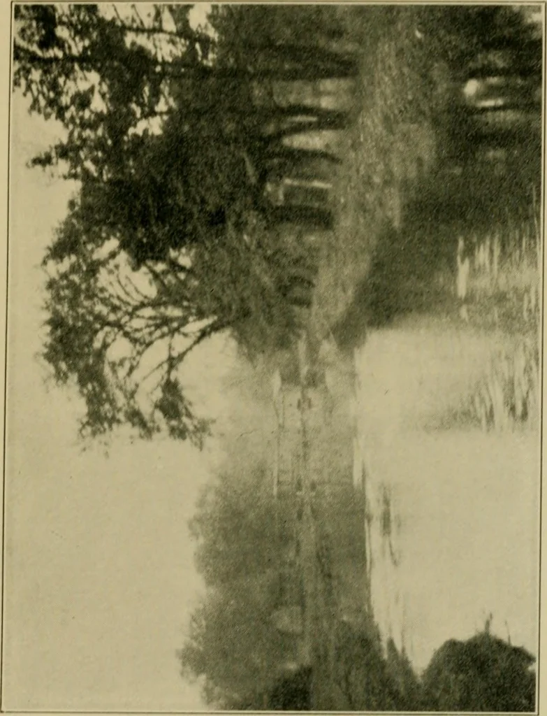 An illustration from The landscape beautiful; a study of the utility of the natural landscape, its relation to human life and happiness, 1910, leaf 178