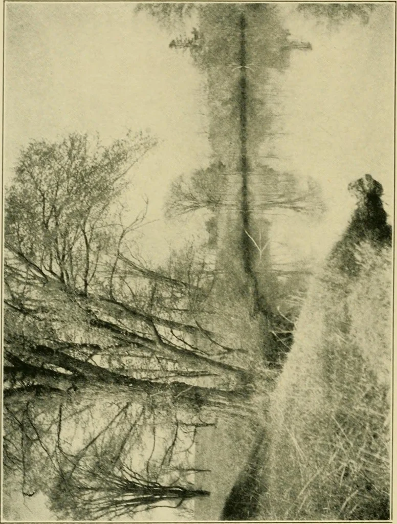 An illustration from The landscape beautiful; a study of the utility of the natural landscape, its relation to human life and happiness, 1910, leaf 179