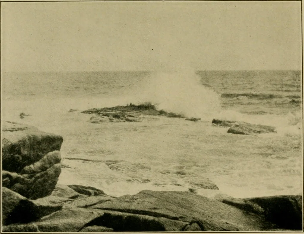 An illustration from The landscape beautiful; a study of the utility of the natural landscape, its relation to human life and happiness, 1910, leaf 188