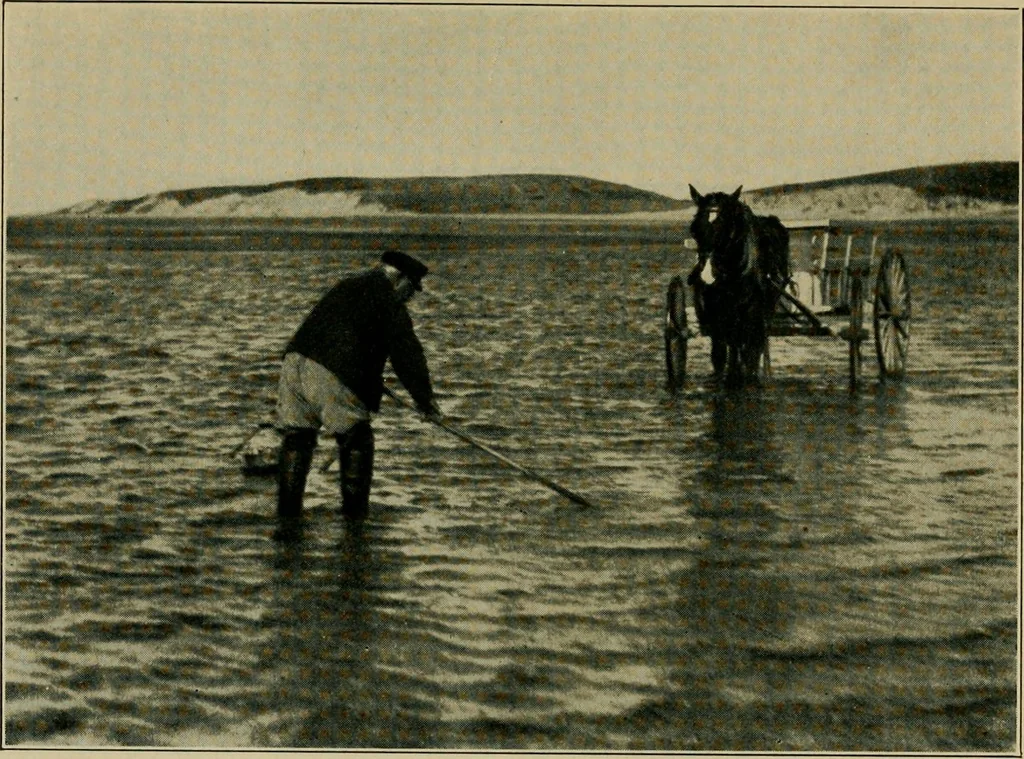 An illustration from The landscape beautiful; a study of the utility of the natural landscape, its relation to human life and happiness, 1910, leaf 22