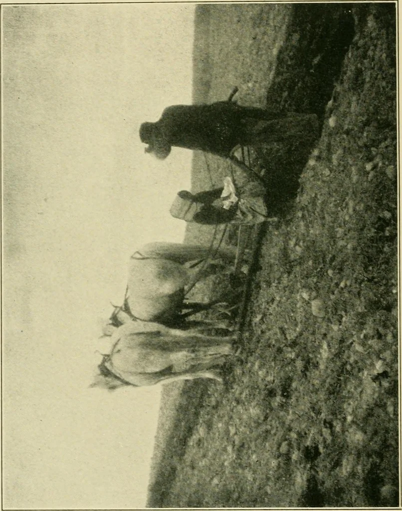 An illustration from The landscape beautiful; a study of the utility of the natural landscape, its relation to human life and happiness, 1910, leaf 23