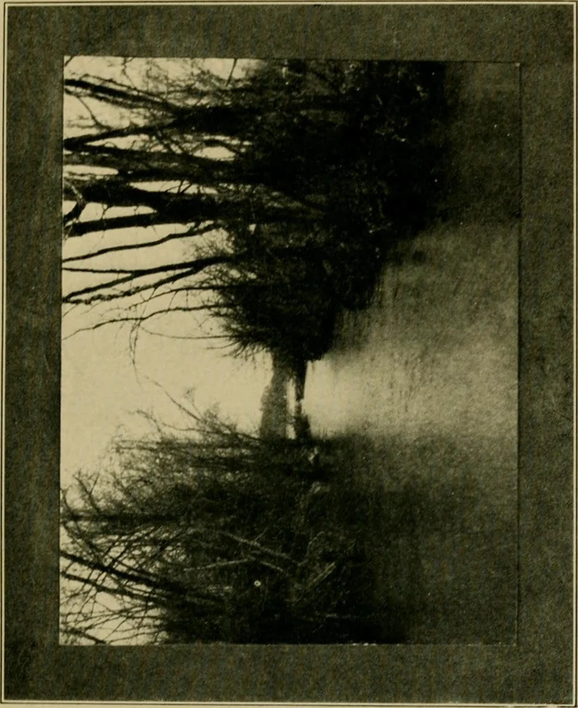 An illustration from The landscape beautiful; a study of the utility of the natural landscape, its relation to human life and happiness, 1910, leaf 242