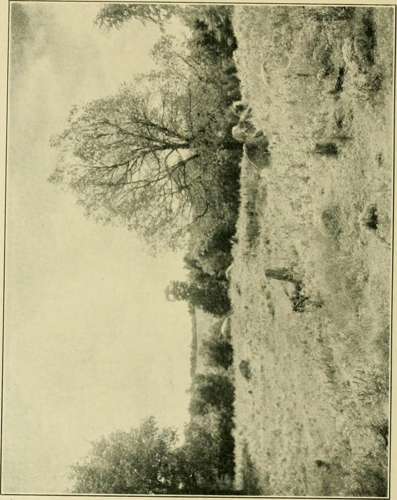 An illustration from The landscape beautiful; a study of the utility of the natural landscape, its relation to human life and happiness, 1910, leaf 243