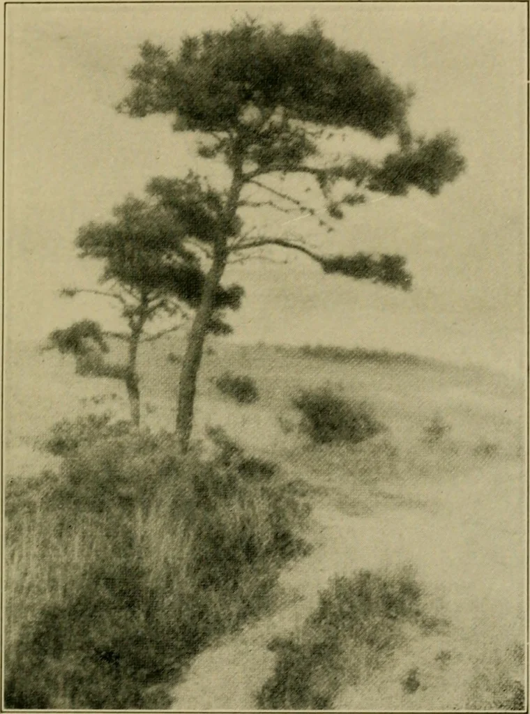 An illustration from The landscape beautiful; a study of the utility of the natural landscape, its relation to human life and happiness, 1910, leaf 280