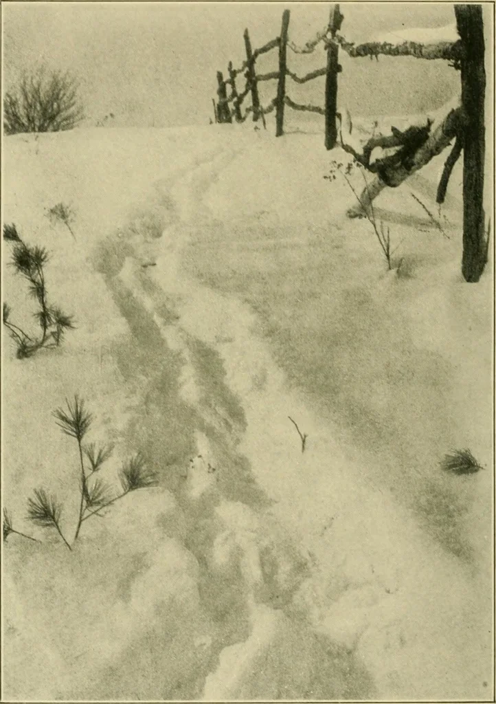 An illustration from The landscape beautiful; a study of the utility of the natural landscape, its relation to human life and happiness, 1910, leaf 281