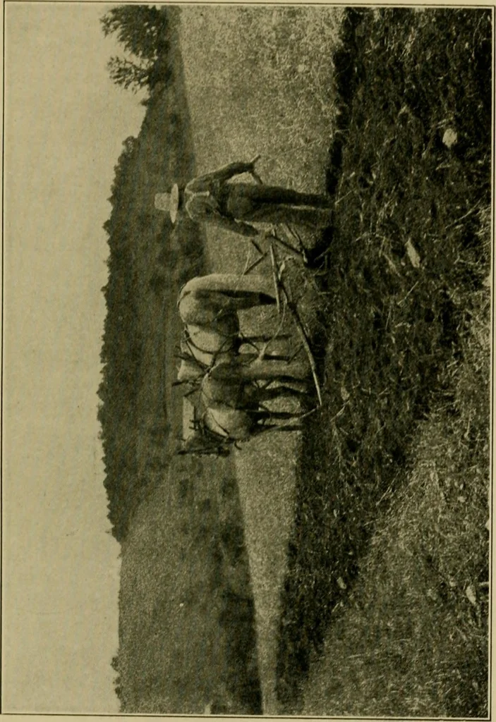 An illustration from The landscape beautiful; a study of the utility of the natural landscape, its relation to human life and happiness, 1910, leaf 298