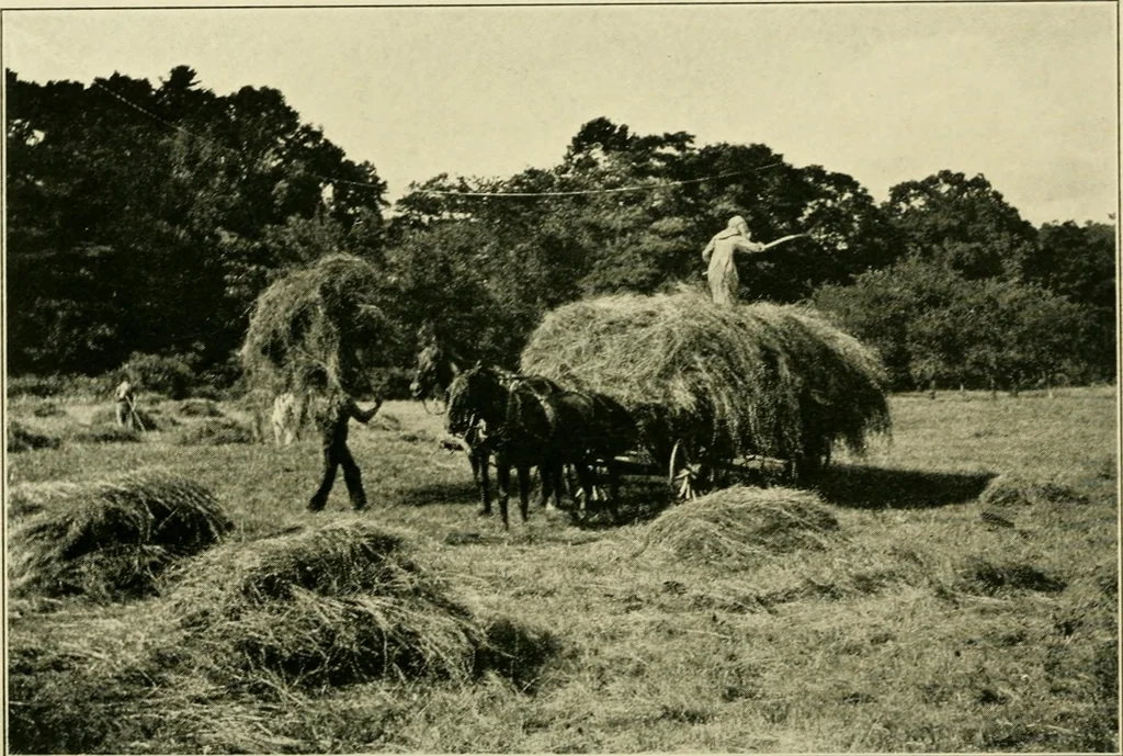 An illustration from The landscape beautiful; a study of the utility of the natural landscape, its relation to human life and happiness, 1910, leaf 299