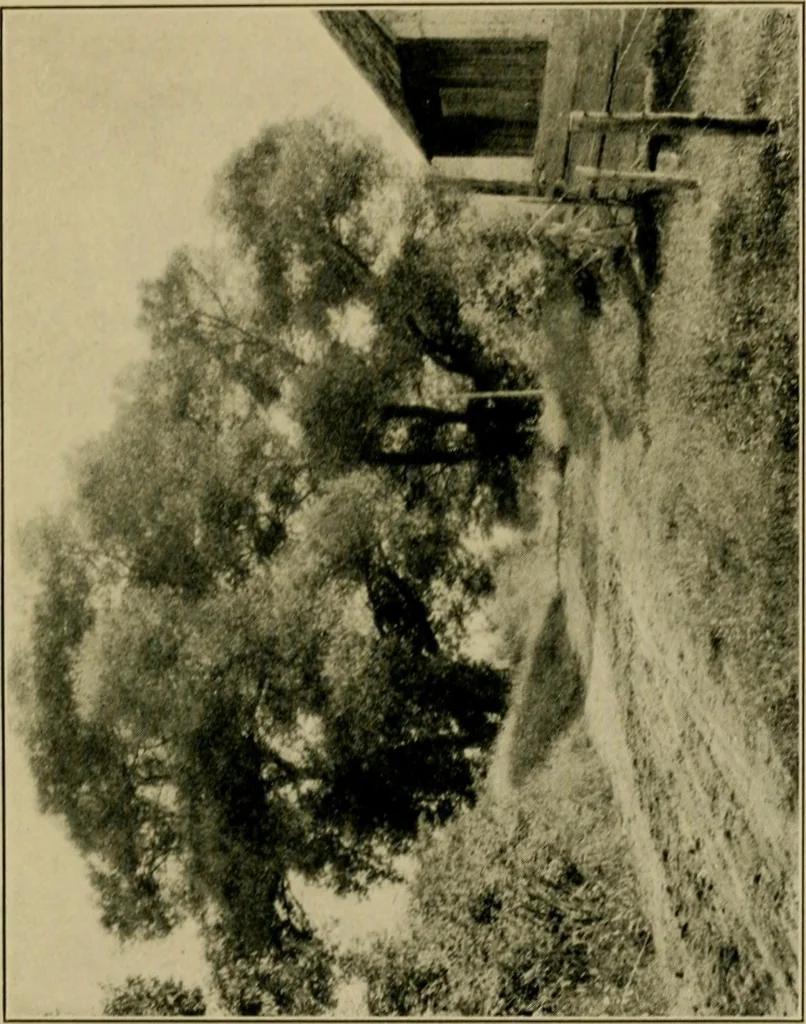 An illustration from The landscape beautiful; a study of the utility of the natural landscape, its relation to human life and happiness, 1910, leaf 308