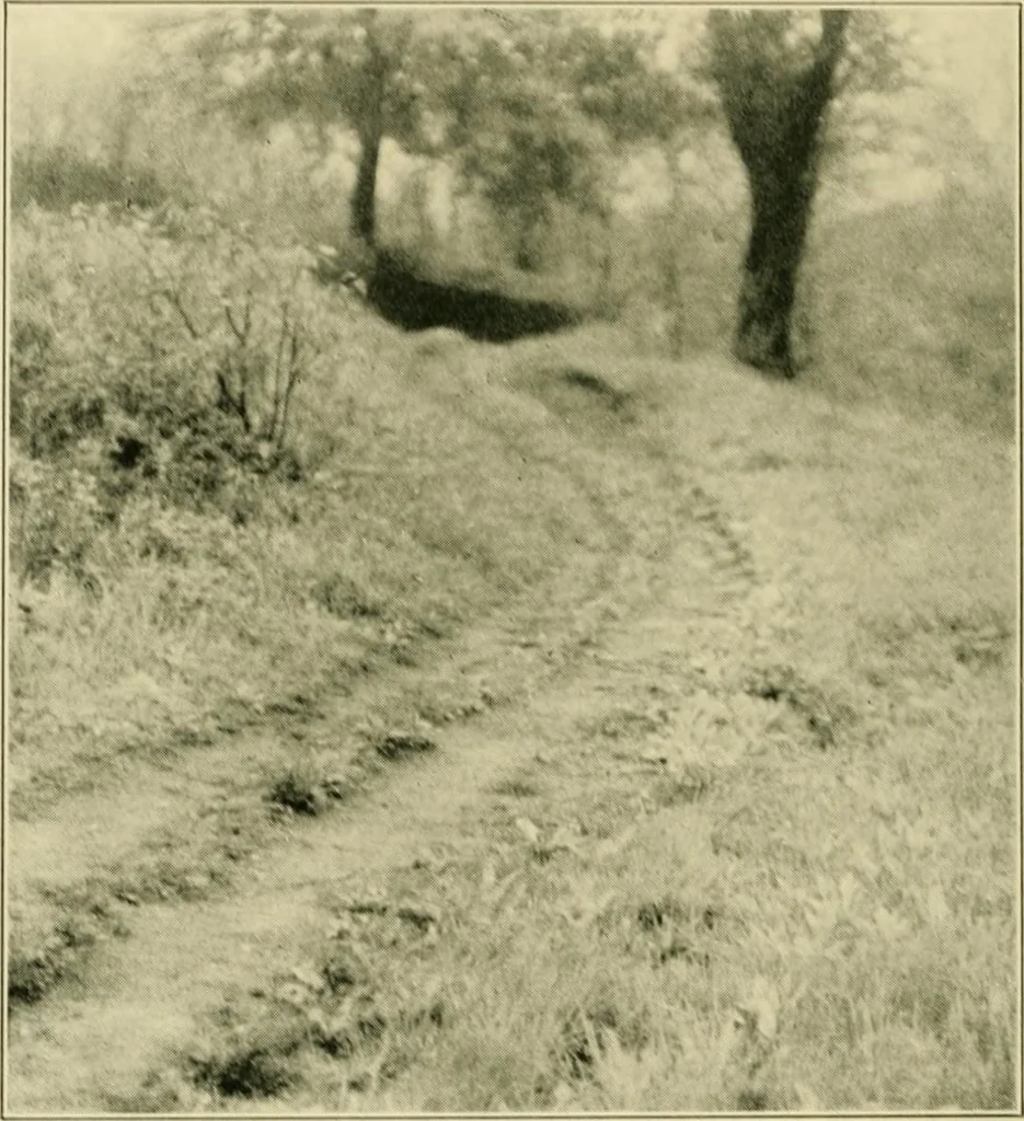 An illustration from The landscape beautiful; a study of the utility of the natural landscape, its relation to human life and happiness, 1910, leaf 309