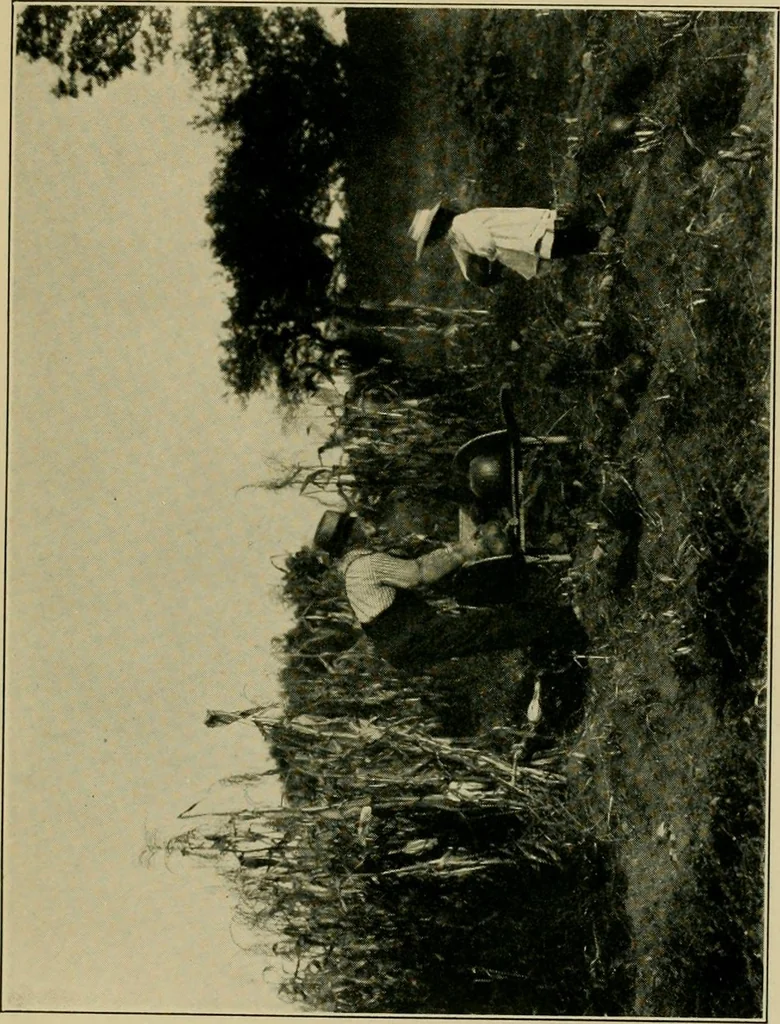 An illustration from The landscape beautiful; a study of the utility of the natural landscape, its relation to human life and happiness, 1910, leaf 32