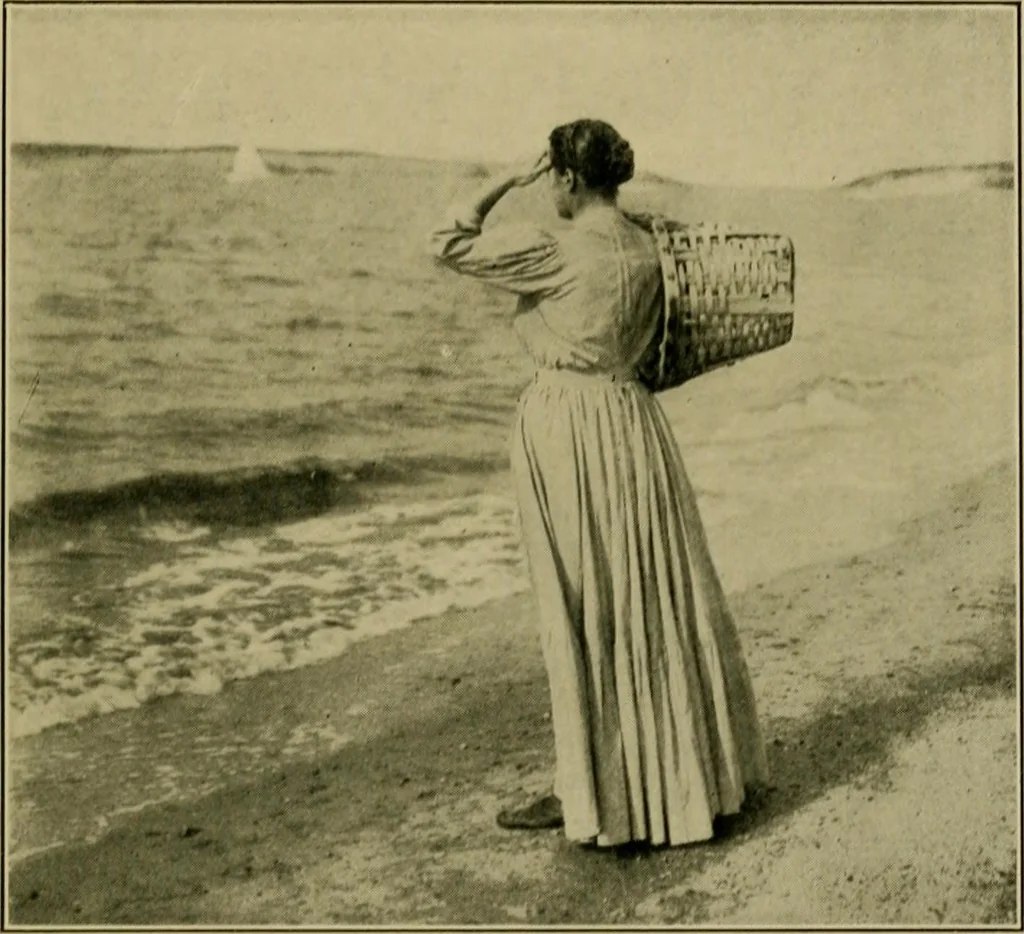 An illustration from The landscape beautiful; a study of the utility of the natural landscape, its relation to human life and happiness, 1910, leaf 328