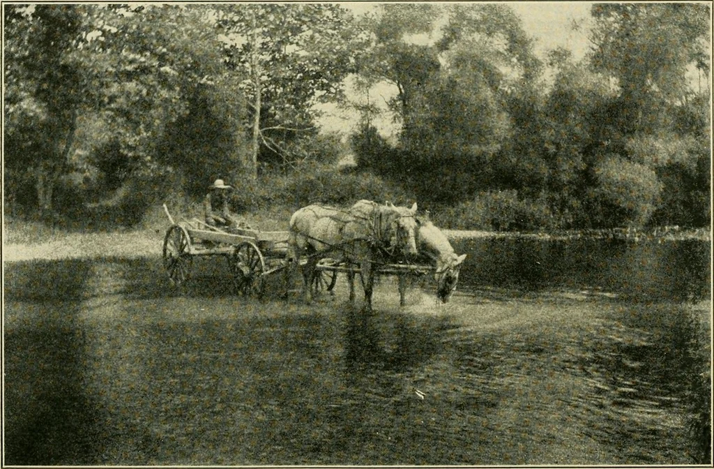 An illustration from The landscape beautiful; a study of the utility of the natural landscape, its relation to human life and happiness, 1910, leaf 355