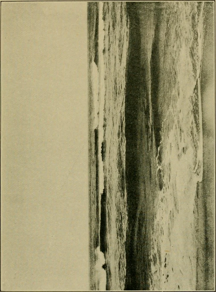 An illustration from The landscape beautiful; a study of the utility of the natural landscape, its relation to human life and happiness, 1910, leaf 60
