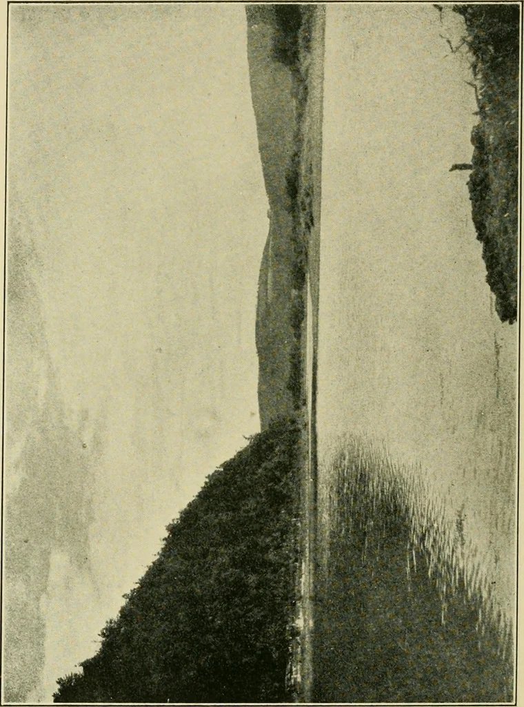 An illustration from The landscape beautiful; a study of the utility of the natural landscape, its relation to human life and happiness, 1910, leaf 61