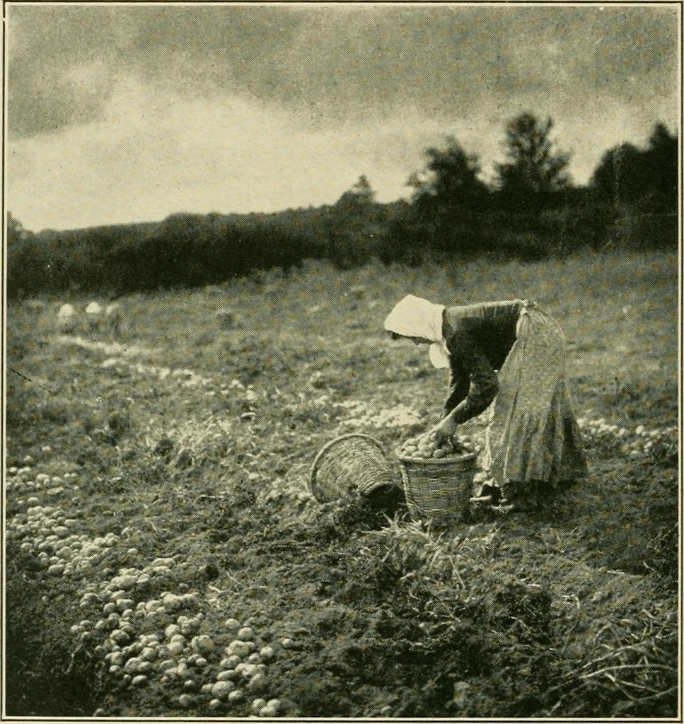 An illustration from The landscape beautiful; a study of the utility of the natural landscape, its relation to human life and happiness, 1910, leaf 7
