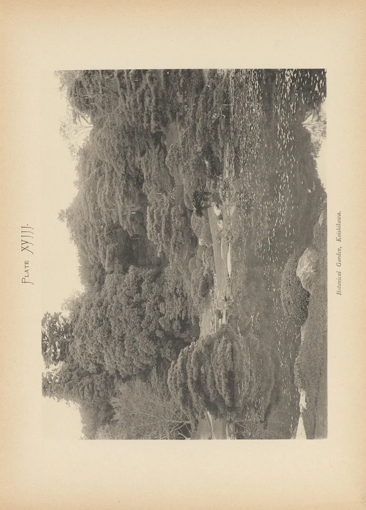 An illustration from Landscape gardening in Japan, 1893, leaf 81