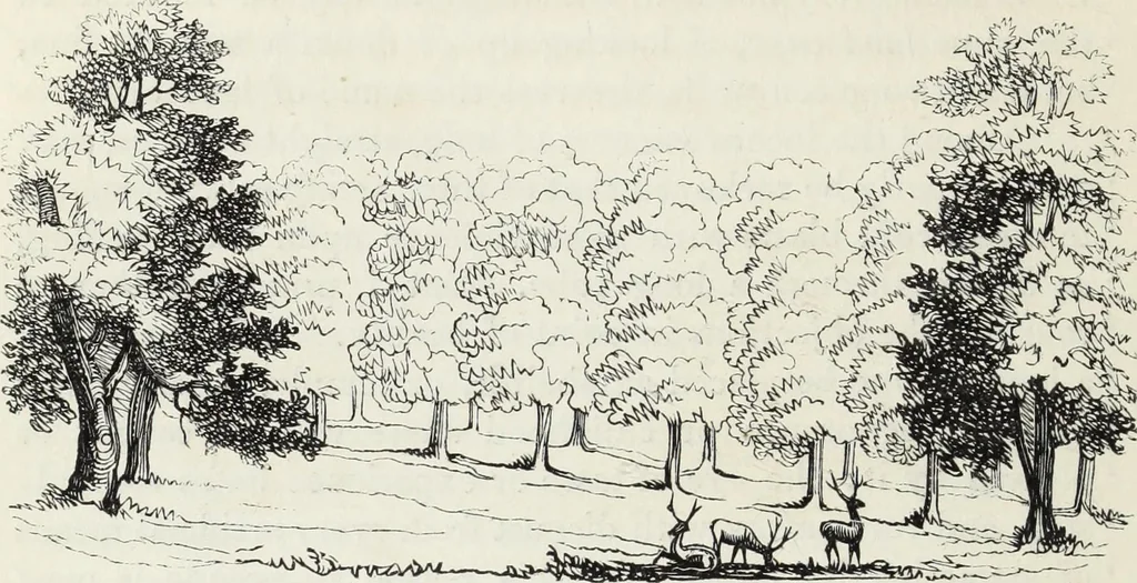 An illustration from The landscape gardening and landscape architecture of the late Humphry Repton, esq., being his entire works on these subjects : ...with historical and scientific introduction, a systematic analysis, a biographical notice, notes, and copious alphabetical index, 1840, leaf 105