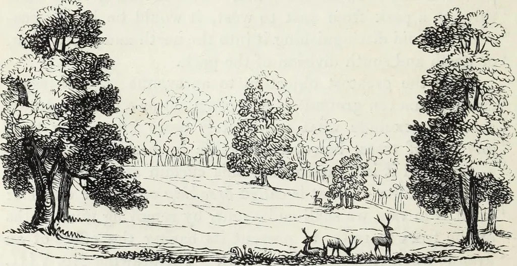 An illustration from The landscape gardening and landscape architecture of the late Humphry Repton, esq., being his entire works on these subjects : ...with historical and scientific introduction, a systematic analysis, a biographical notice, notes, and copious alphabetical index, 1840, leaf 105