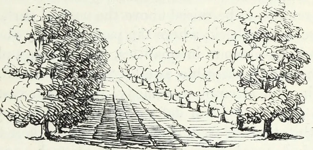 An illustration from The landscape gardening and landscape architecture of the late Humphry Repton, esq., being his entire works on these subjects : ...with historical and scientific introduction, a systematic analysis, a biographical notice, notes, and copious alphabetical index, 1840, leaf 106