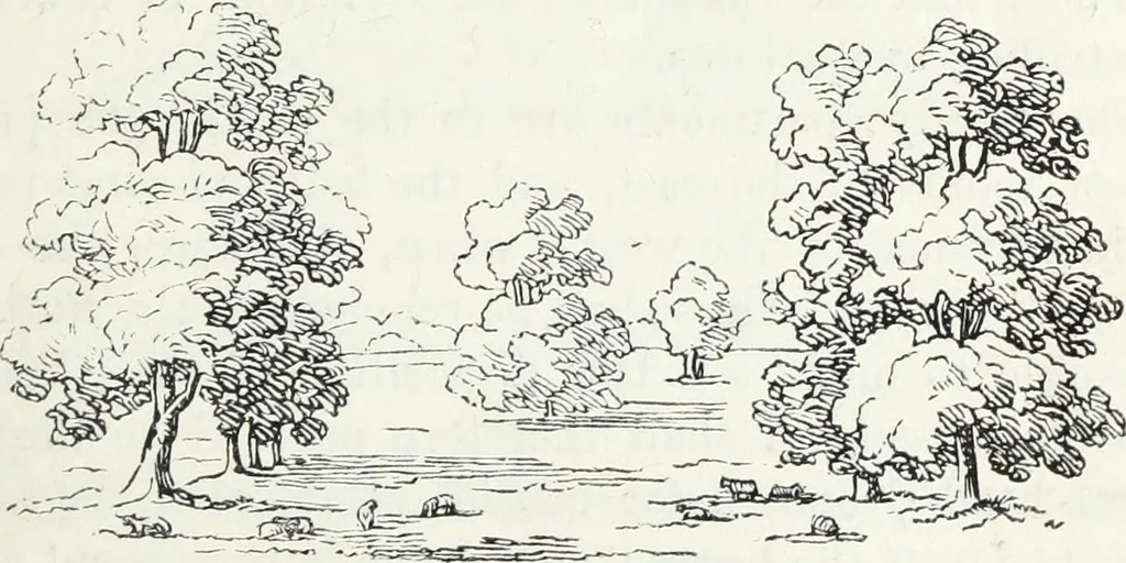 An illustration from The landscape gardening and landscape architecture of the late Humphry Repton, esq., being his entire works on these subjects : ...with historical and scientific introduction, a systematic analysis, a biographical notice, notes, and copious alphabetical index, 1840, leaf 106