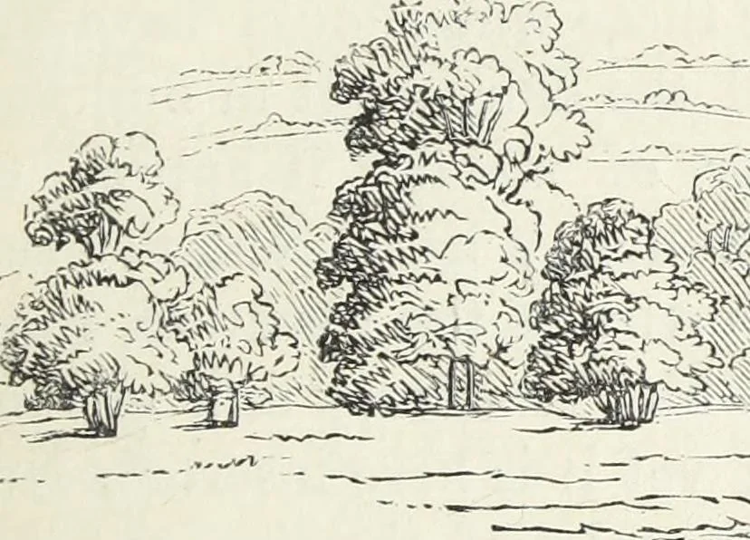 An illustration from The landscape gardening and landscape architecture of the late Humphry Repton, esq., being his entire works on these subjects : ...with historical and scientific introduction, a systematic analysis, a biographical notice, notes, and copious alphabetical index, 1840, leaf 122