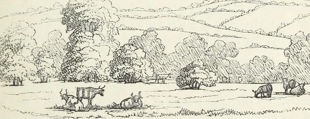 An illustration from The landscape gardening and landscape architecture of the late Humphry Repton, esq., being his entire works on these subjects : ...with historical and scientific introduction, a systematic analysis, a biographical notice, notes, and copious alphabetical index, 1840, leaf 122
