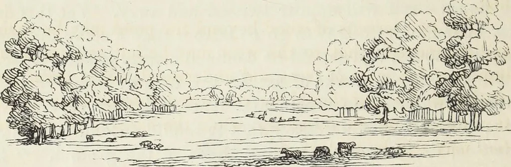 An illustration from The landscape gardening and landscape architecture of the late Humphry Repton, esq., being his entire works on these subjects : ...with historical and scientific introduction, a systematic analysis, a biographical notice, notes, and copious alphabetical index, 1840, leaf 129