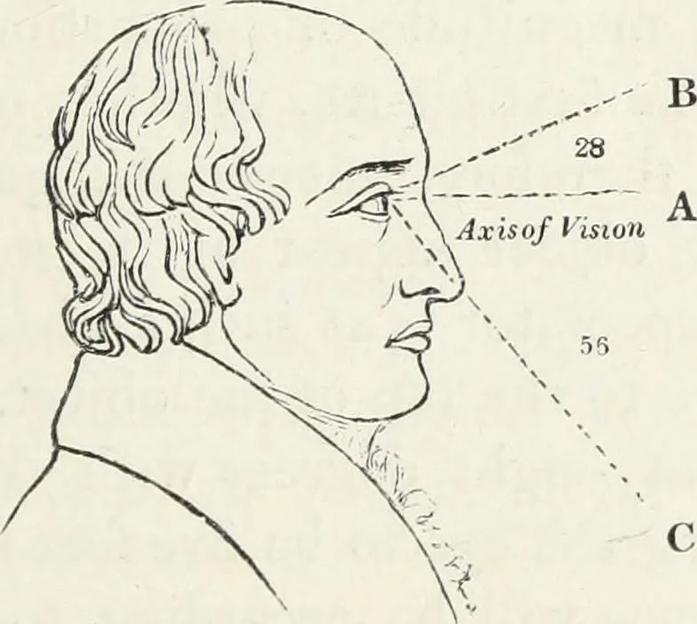An illustration from The landscape gardening and landscape architecture of the late Humphry Repton, esq., being his entire works on these subjects : ...with historical and scientific introduction, a systematic analysis, a biographical notice, notes, and copious alphabetical index, 1840, leaf 188