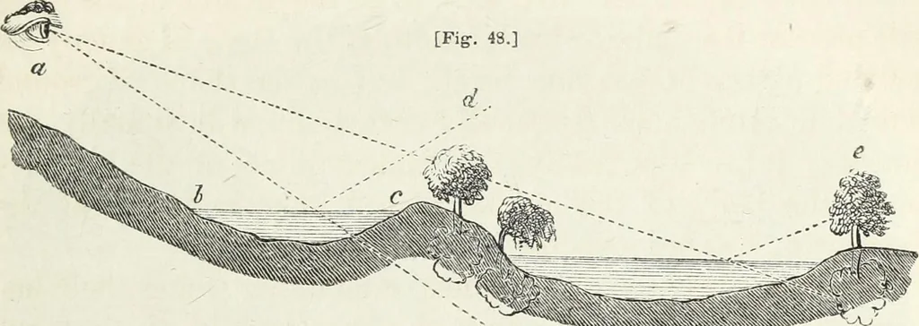 An illustration from The landscape gardening and landscape architecture of the late Humphry Repton, esq., being his entire works on these subjects : ...with historical and scientific introduction, a systematic analysis, a biographical notice, notes, and copious alphabetical index, 1840, leaf 194