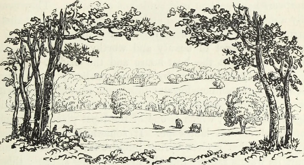 An illustration from The landscape gardening and landscape architecture of the late Humphry Repton, esq., being his entire works on these subjects : ...with historical and scientific introduction, a systematic analysis, a biographical notice, notes, and copious alphabetical index, 1840, leaf 206