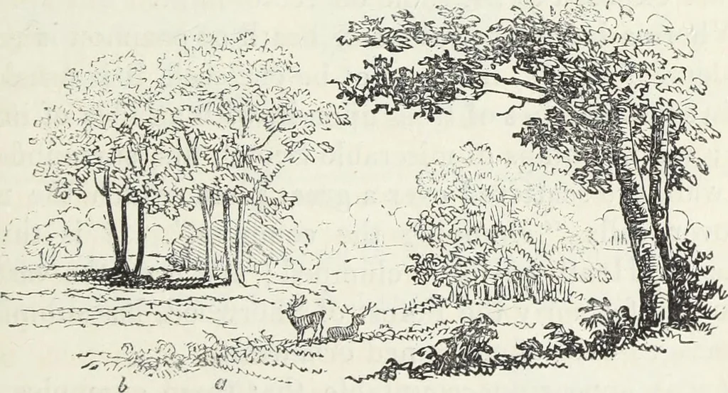 An illustration from The landscape gardening and landscape architecture of the late Humphry Repton, esq., being his entire works on these subjects : ...with historical and scientific introduction, a systematic analysis, a biographical notice, notes, and copious alphabetical index, 1840, leaf 212