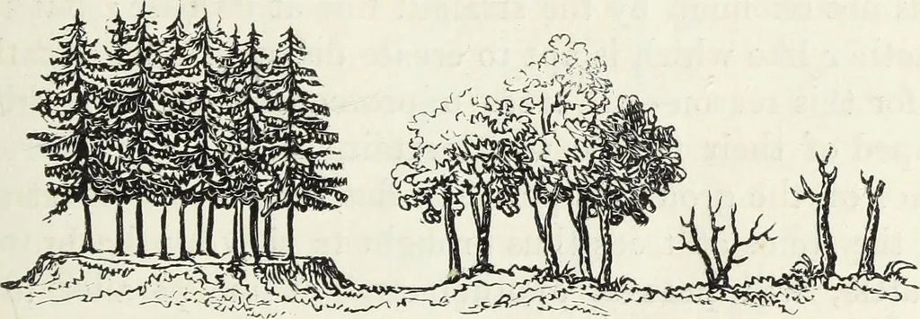 An illustration from The landscape gardening and landscape architecture of the late Humphry Repton, esq., being his entire works on these subjects : ...with historical and scientific introduction, a systematic analysis, a biographical notice, notes, and copious alphabetical index, 1840, leaf 214