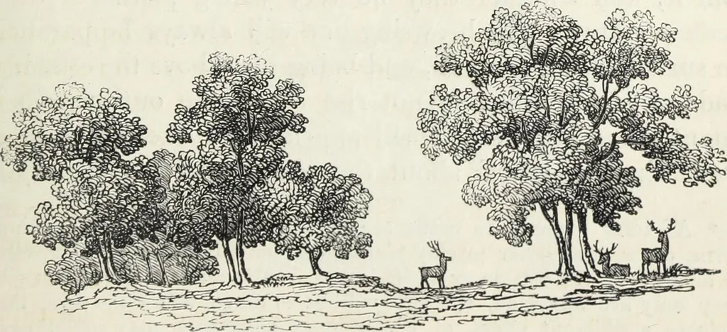 An illustration from The landscape gardening and landscape architecture of the late Humphry Repton, esq., being his entire works on these subjects : ...with historical and scientific introduction, a systematic analysis, a biographical notice, notes, and copious alphabetical index, 1840, leaf 214