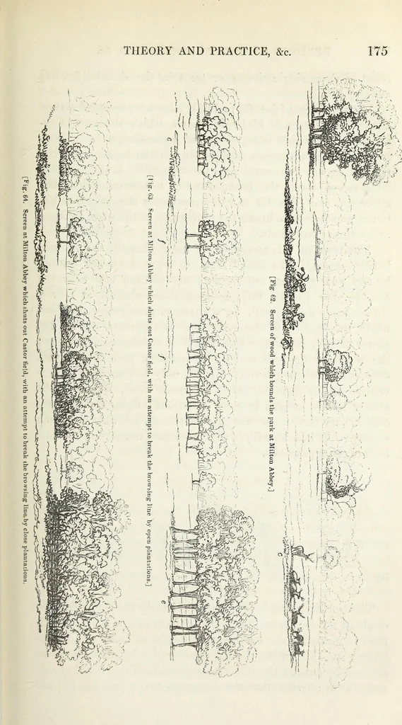 An illustration from The landscape gardening and landscape architecture of the late Humphry Repton, esq., being his entire works on these subjects : ...with historical and scientific introduction, a systematic analysis, a biographical notice, notes, and copious alphabetical index, 1840, leaf 216