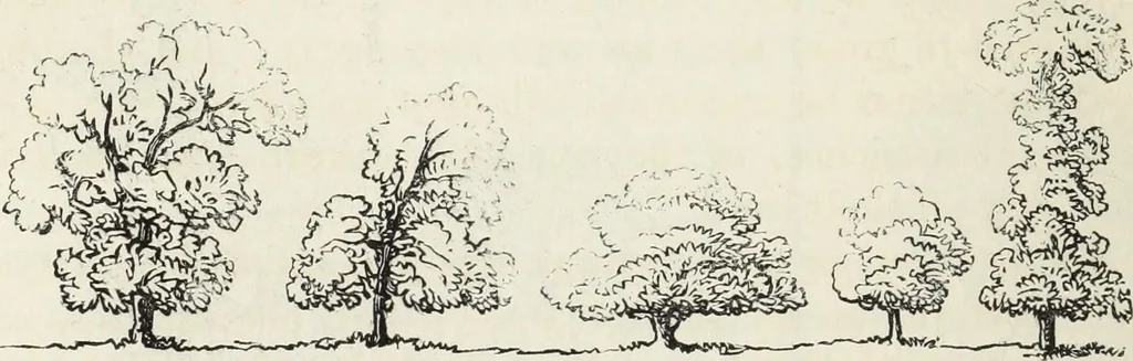 An illustration from The landscape gardening and landscape architecture of the late Humphry Repton, esq., being his entire works on these subjects : ...with historical and scientific introduction, a systematic analysis, a biographical notice, notes, and copious alphabetical index, 1840, leaf 217