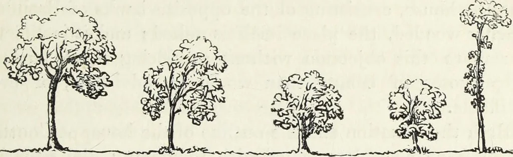 An illustration from The landscape gardening and landscape architecture of the late Humphry Repton, esq., being his entire works on these subjects : ...with historical and scientific introduction, a systematic analysis, a biographical notice, notes, and copious alphabetical index, 1840, leaf 218