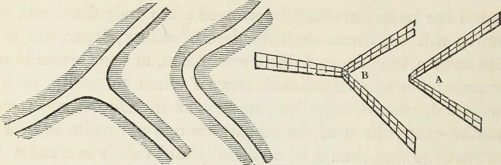 An illustration from The landscape gardening and landscape architecture of the late Humphry Repton, esq., being his entire works on these subjects : ...with historical and scientific introduction, a systematic analysis, a biographical notice, notes, and copious alphabetical index, 1840, leaf 245