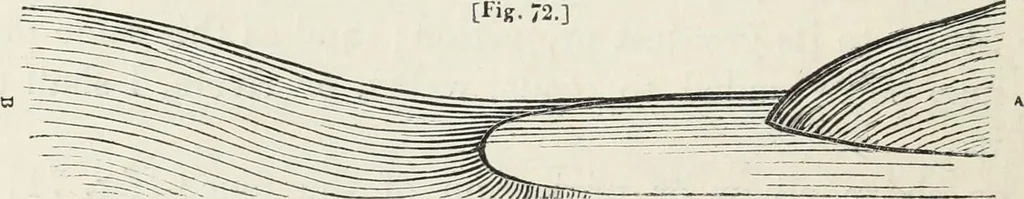 An illustration from The landscape gardening and landscape architecture of the late Humphry Repton, esq., being his entire works on these subjects : ...with historical and scientific introduction, a systematic analysis, a biographical notice, notes, and copious alphabetical index, 1840, leaf 245