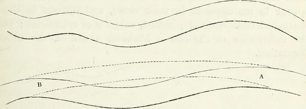 An illustration from The landscape gardening and landscape architecture of the late Humphry Repton, esq., being his entire works on these subjects : ...with historical and scientific introduction, a systematic analysis, a biographical notice, notes, and copious alphabetical index, 1840, leaf 246