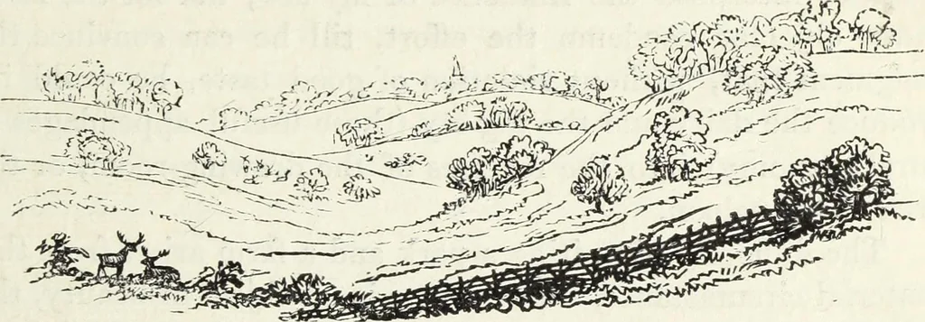 An illustration from The landscape gardening and landscape architecture of the late Humphry Repton, esq., being his entire works on these subjects : ...with historical and scientific introduction, a systematic analysis, a biographical notice, notes, and copious alphabetical index, 1840, leaf 250