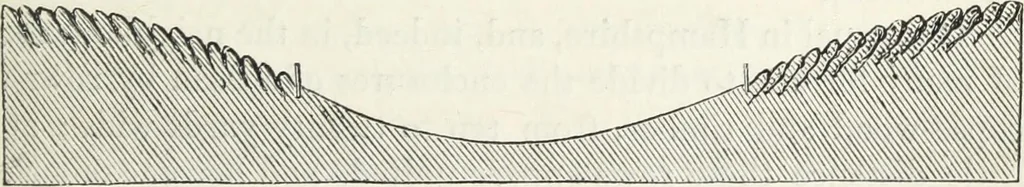 An illustration from The landscape gardening and landscape architecture of the late Humphry Repton, esq., being his entire works on these subjects : ...with historical and scientific introduction, a systematic analysis, a biographical notice, notes, and copious alphabetical index, 1840, leaf 250
