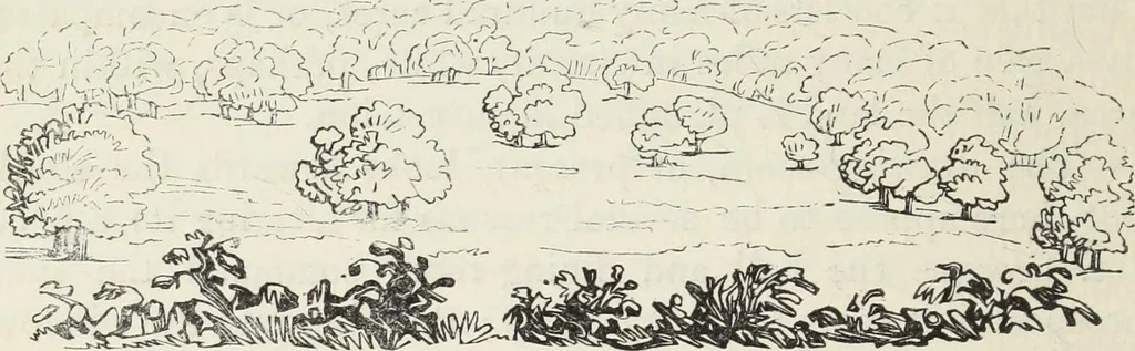 An illustration from The landscape gardening and landscape architecture of the late Humphry Repton, esq., being his entire works on these subjects : ...with historical and scientific introduction, a systematic analysis, a biographical notice, notes, and copious alphabetical index, 1840, leaf 265