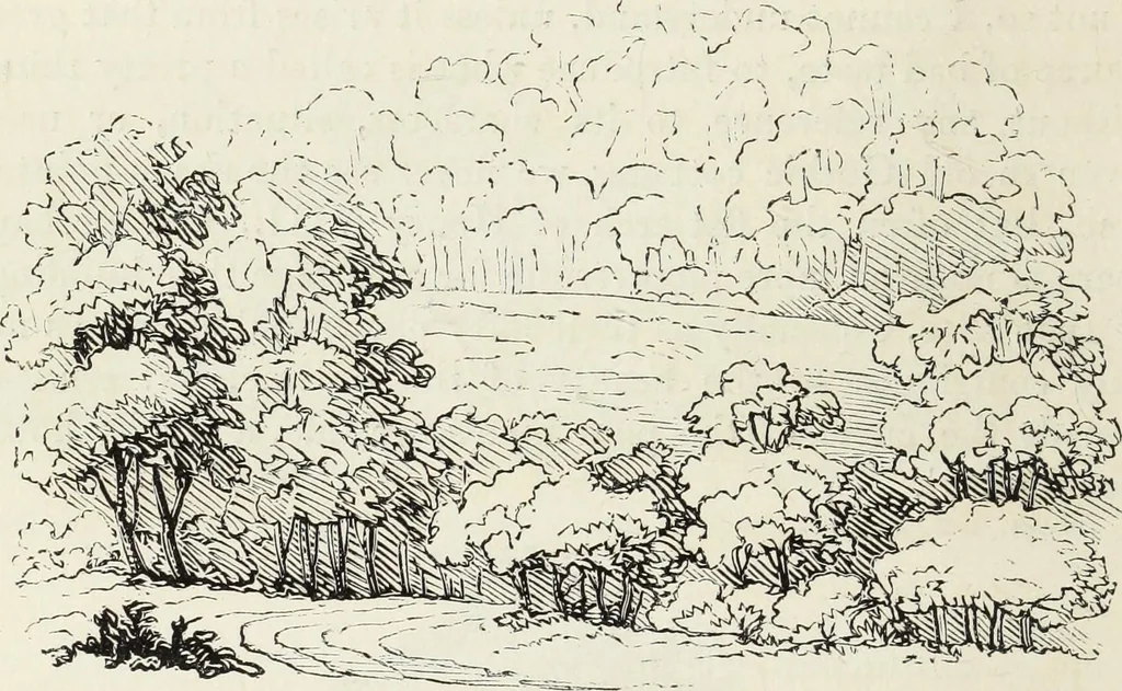 An illustration from The landscape gardening and landscape architecture of the late Humphry Repton, esq., being his entire works on these subjects : ...with historical and scientific introduction, a systematic analysis, a biographical notice, notes, and copious alphabetical index, 1840, leaf 297
