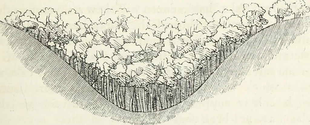 An illustration from The landscape gardening and landscape architecture of the late Humphry Repton, esq., being his entire works on these subjects : ...with historical and scientific introduction, a systematic analysis, a biographical notice, notes, and copious alphabetical index, 1840, leaf 488