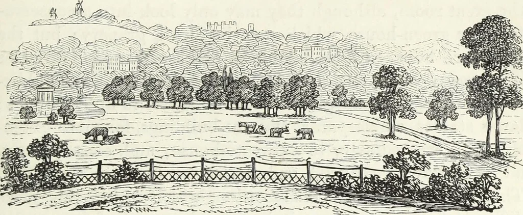 An illustration from The landscape gardening and landscape architecture of the late Humphry Repton, esq., being his entire works on these subjects : ...with historical and scientific introduction, a systematic analysis, a biographical notice, notes, and copious alphabetical index, 1840, leaf 516