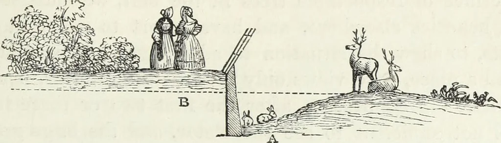An illustration from The landscape gardening and landscape architecture of the late Humphry Repton, esq., being his entire works on these subjects : ...with historical and scientific introduction, a systematic analysis, a biographical notice, notes, and copious alphabetical index, 1840, leaf 518